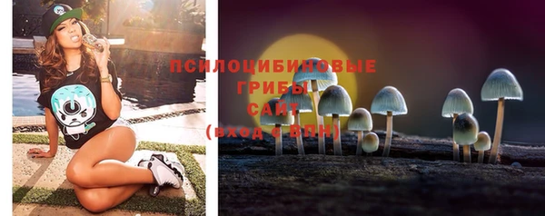 МДПВ Бородино