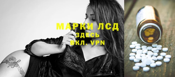 МДПВ Бородино