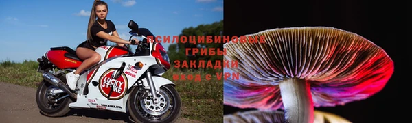 спиды Бугульма