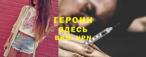 МДПВ Бородино