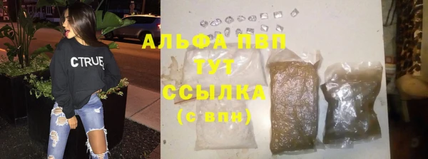 МДПВ Бородино