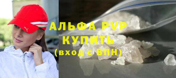 МДПВ Бородино