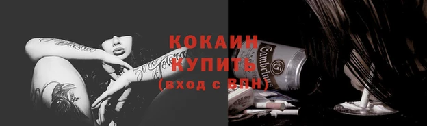 МДПВ Бородино