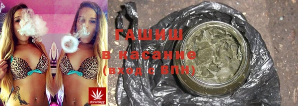 МДПВ Бородино