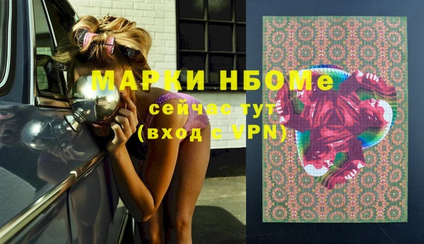 МДПВ Бородино