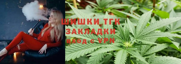 МДПВ Бородино