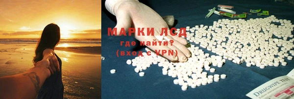 МДПВ Бородино