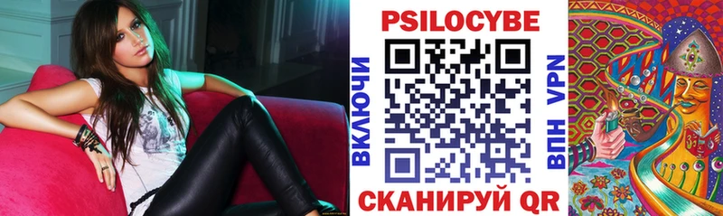 Галлюциногенные грибы Psilocybe  Новозыбков 